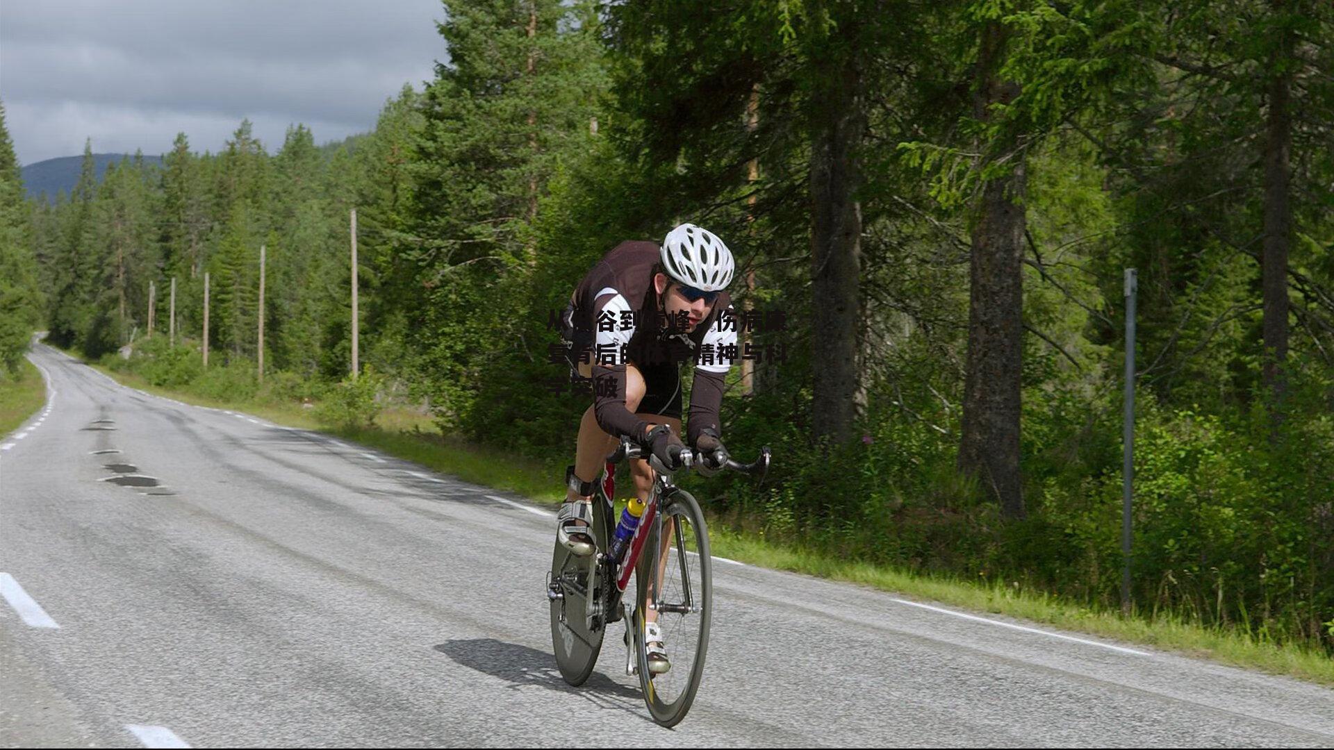 从低谷到巅峰，伤病康复背后的体育精神与科学突破