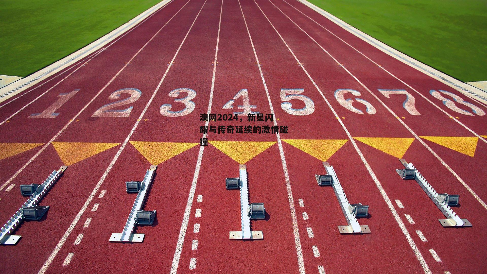 澳网2024，新星闪耀与传奇延续的激情碰撞