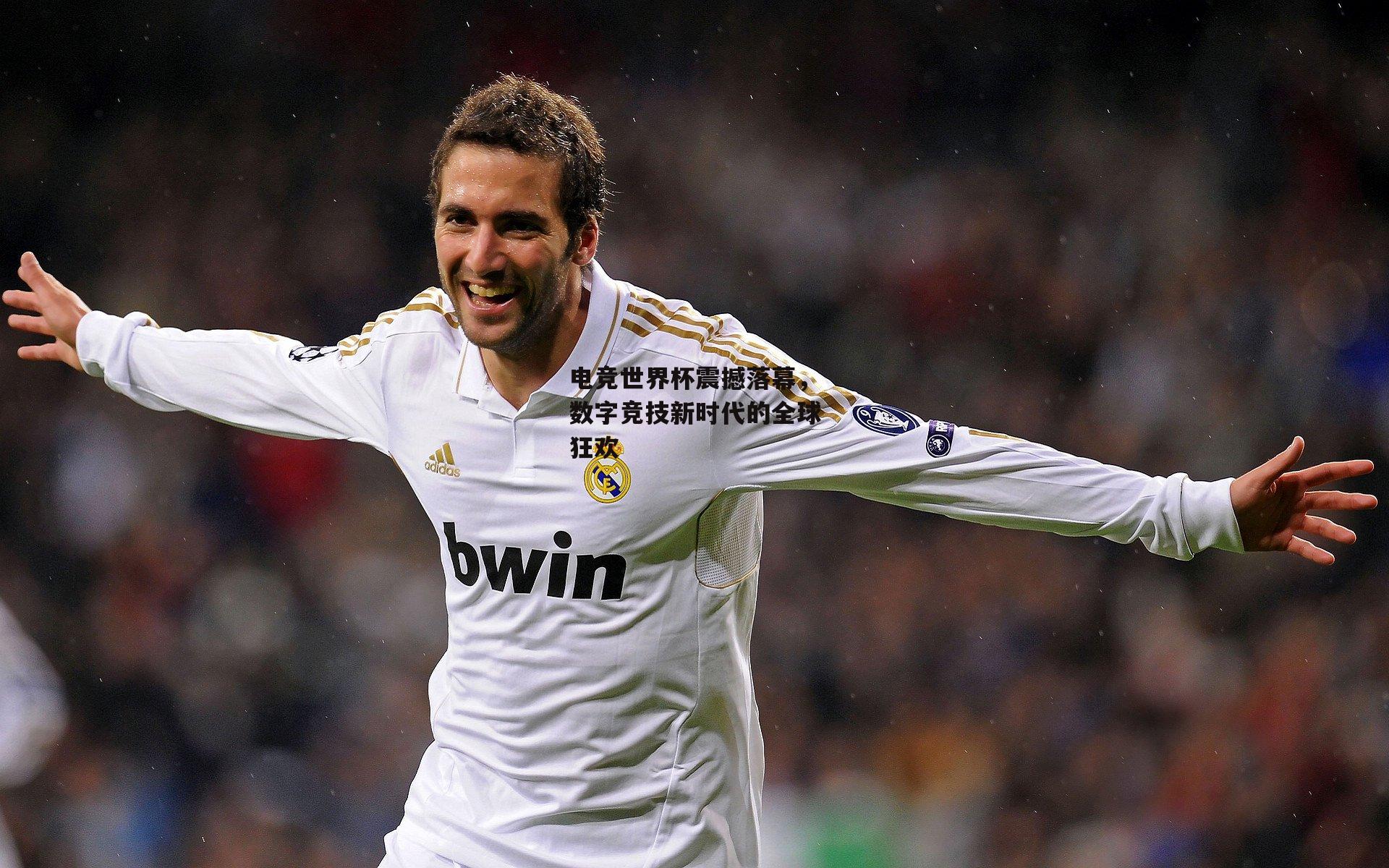 电竞世界杯震撼落幕,数字竞技新时代的全球狂欢