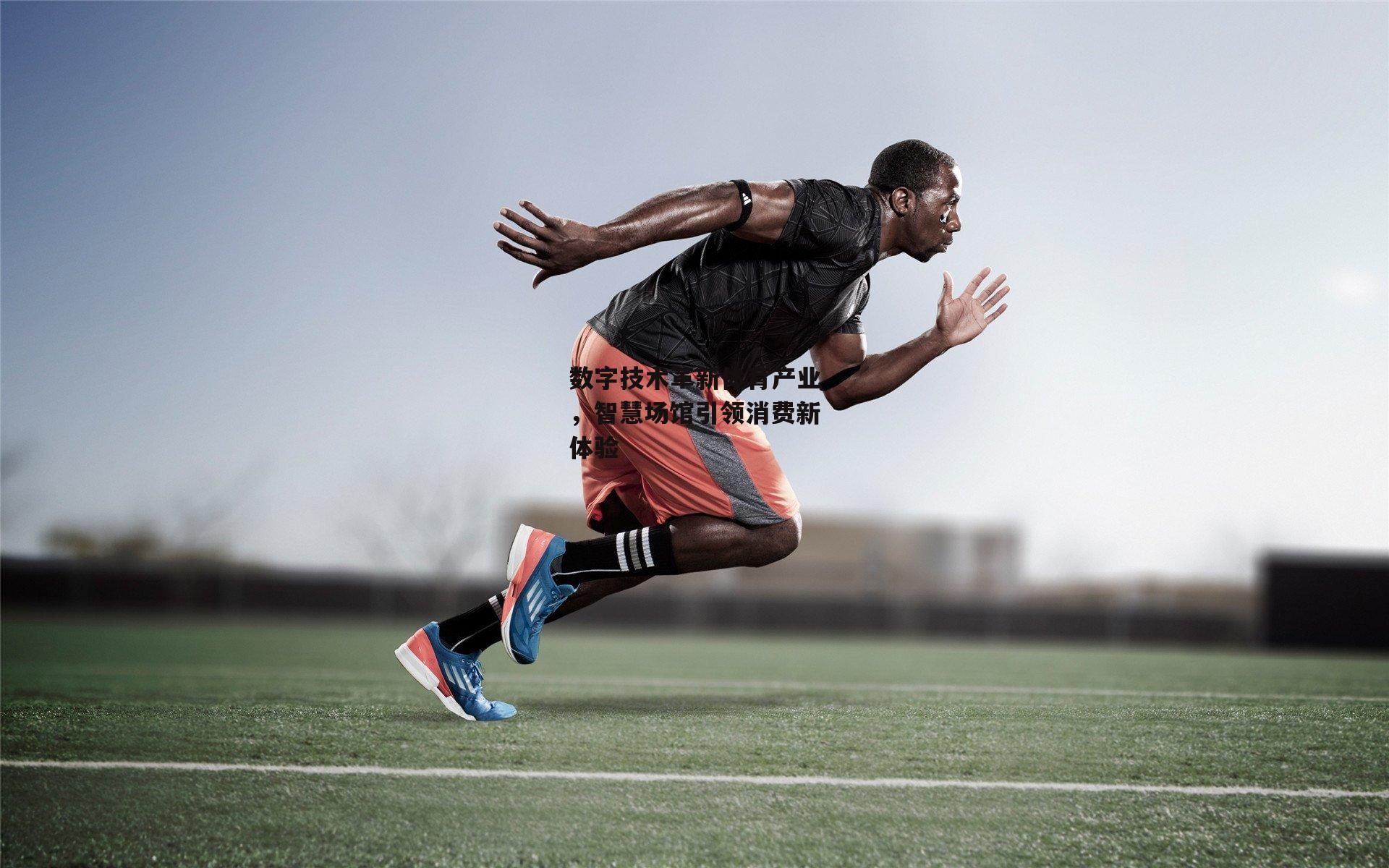 数字技术革新体育产业，智慧场馆引领消费新体验